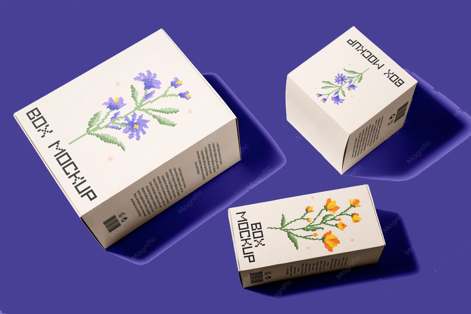 Packaging Design & Mockups